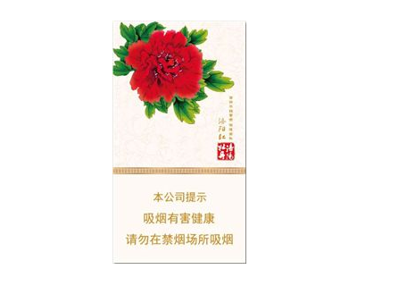 正品美登香烟多少钱一条